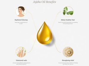 Benefits of Jojoba Oil