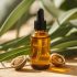 Does Jojoba Oil Clog Pores? Uncovering the Truth